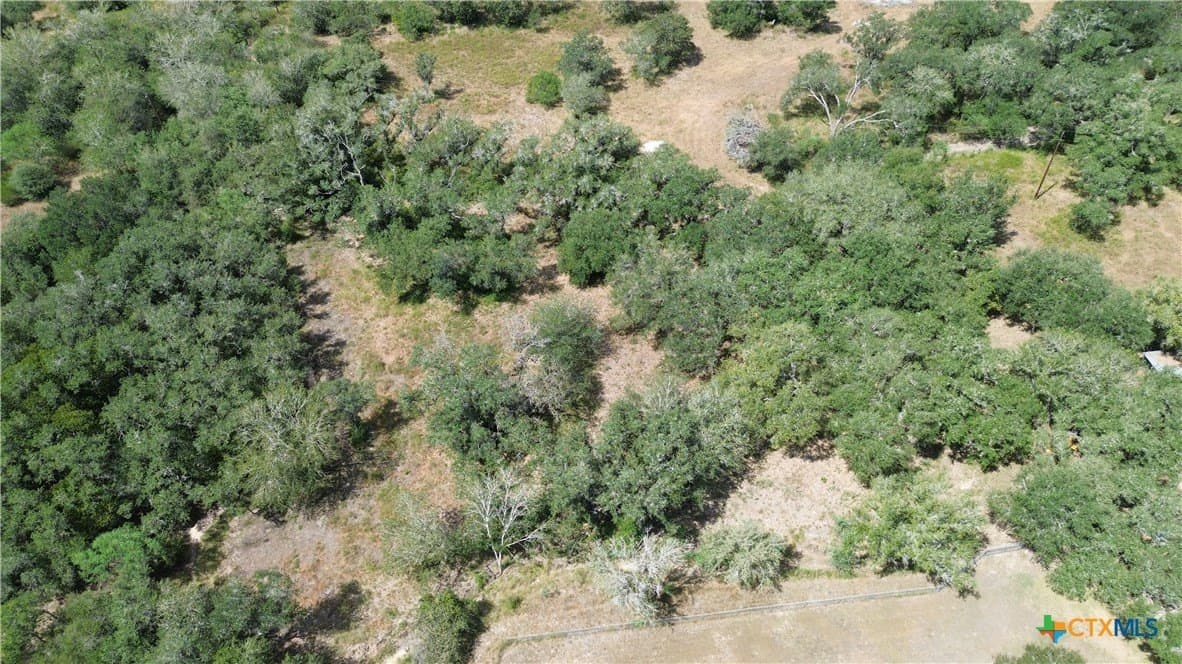 12.59 acres in Goliad County - photo 35