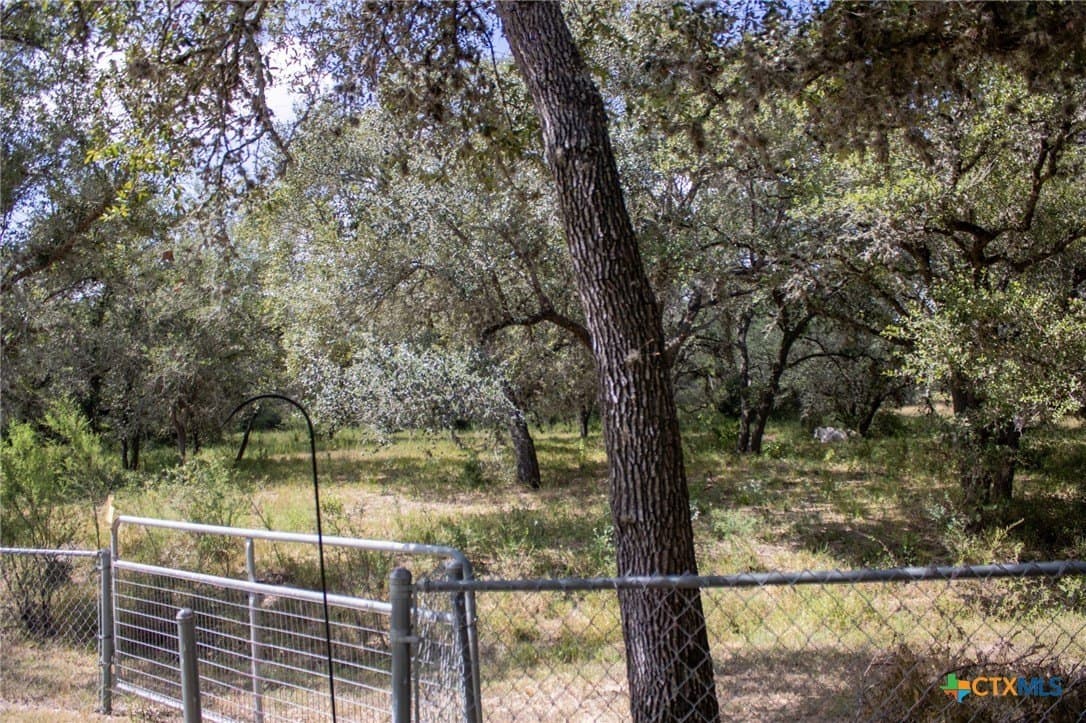 12.59 acres in Goliad County - photo 15