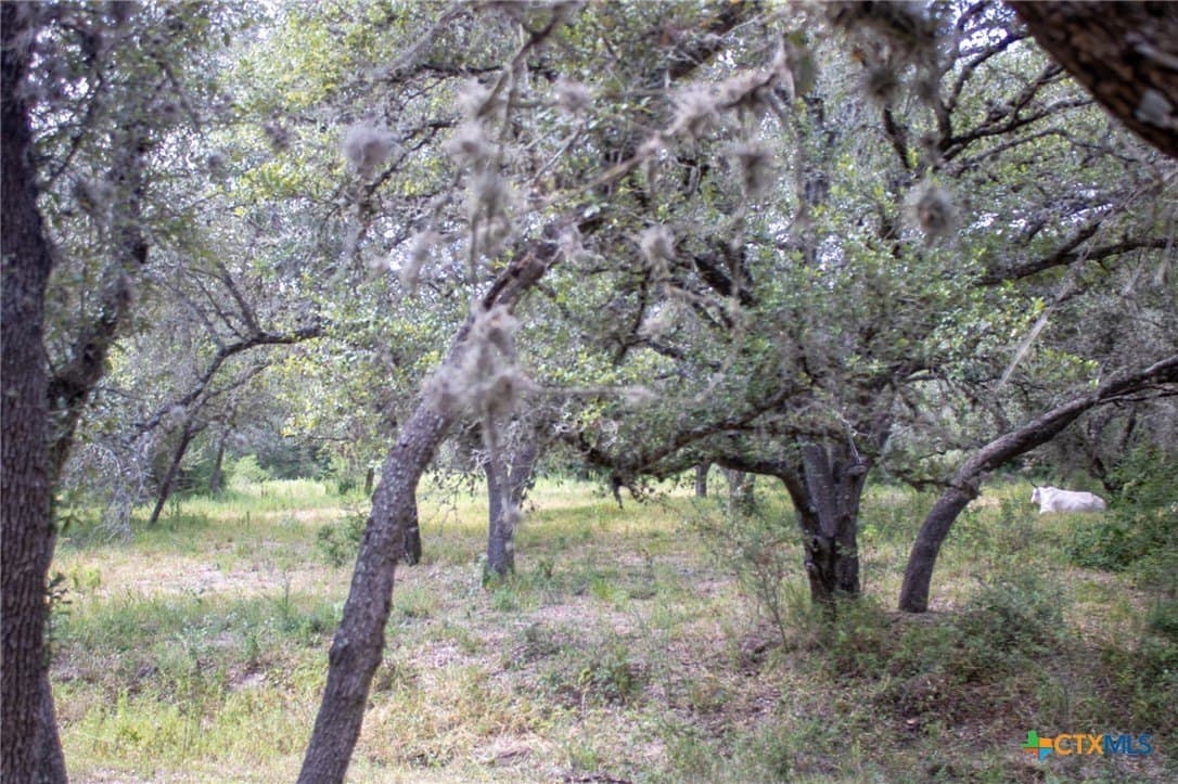 12.59 acres in Goliad County - photo 18