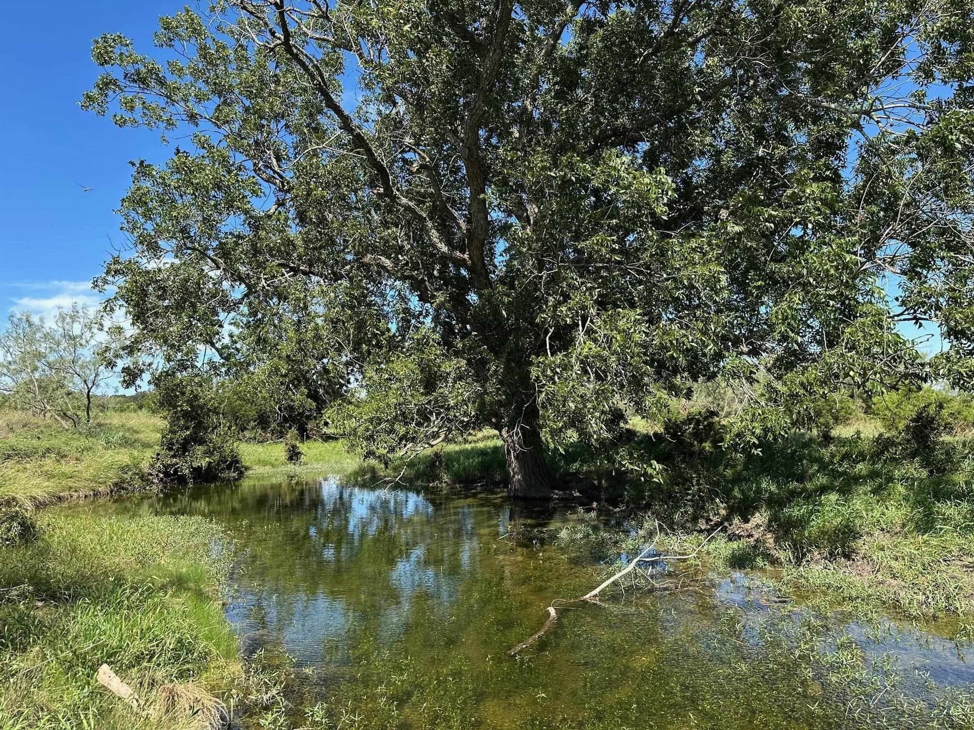 20 acres in Burnet County