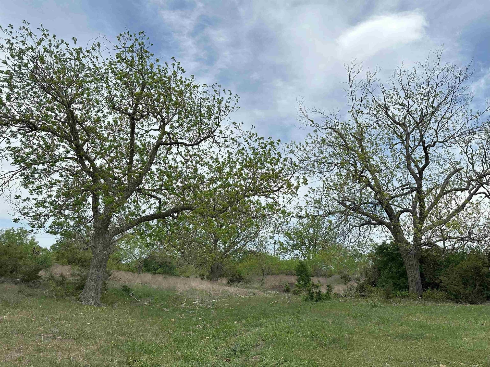 20 acres in Burnet County gallery image 4