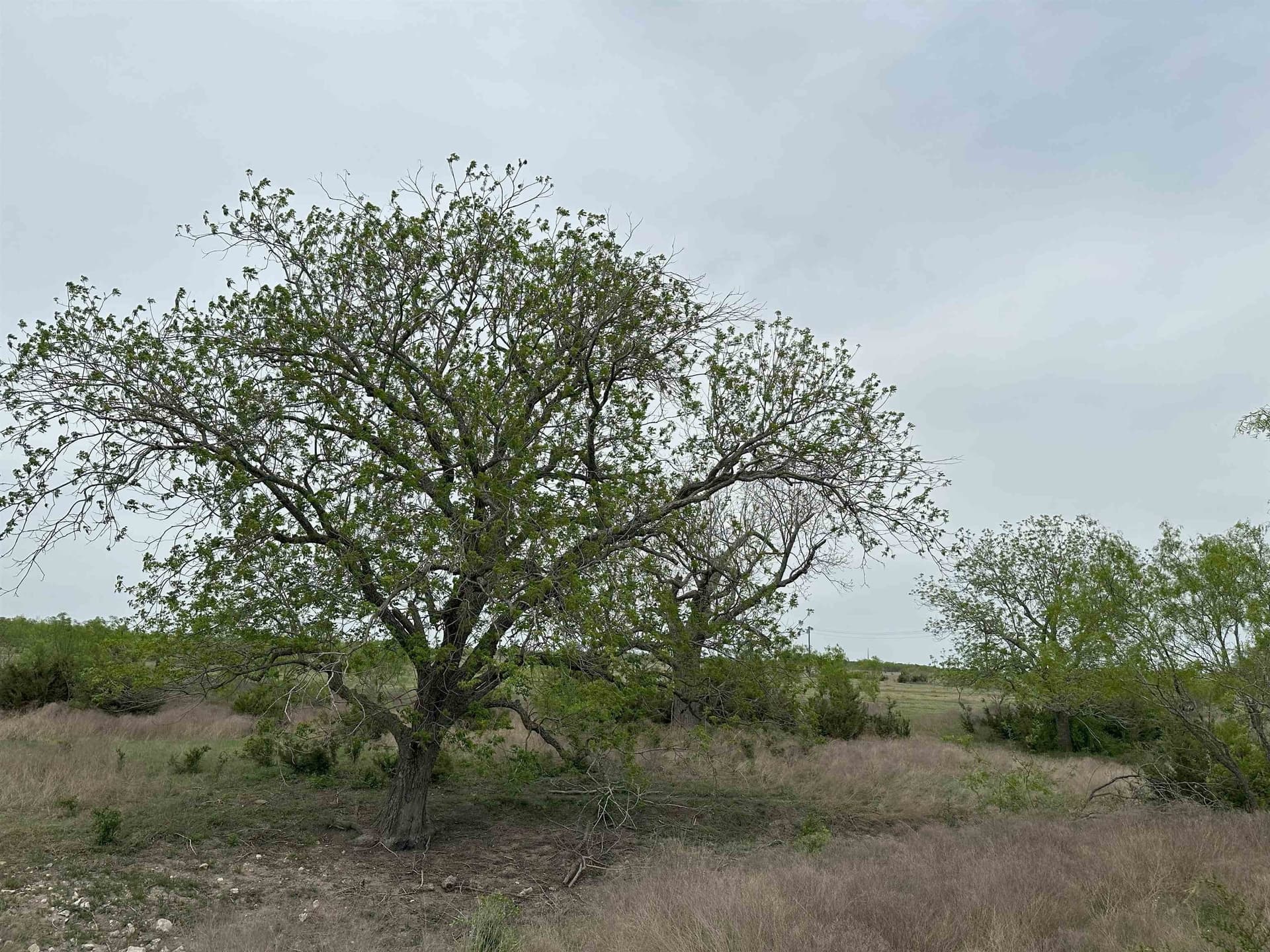20 acres in Burnet County featured view