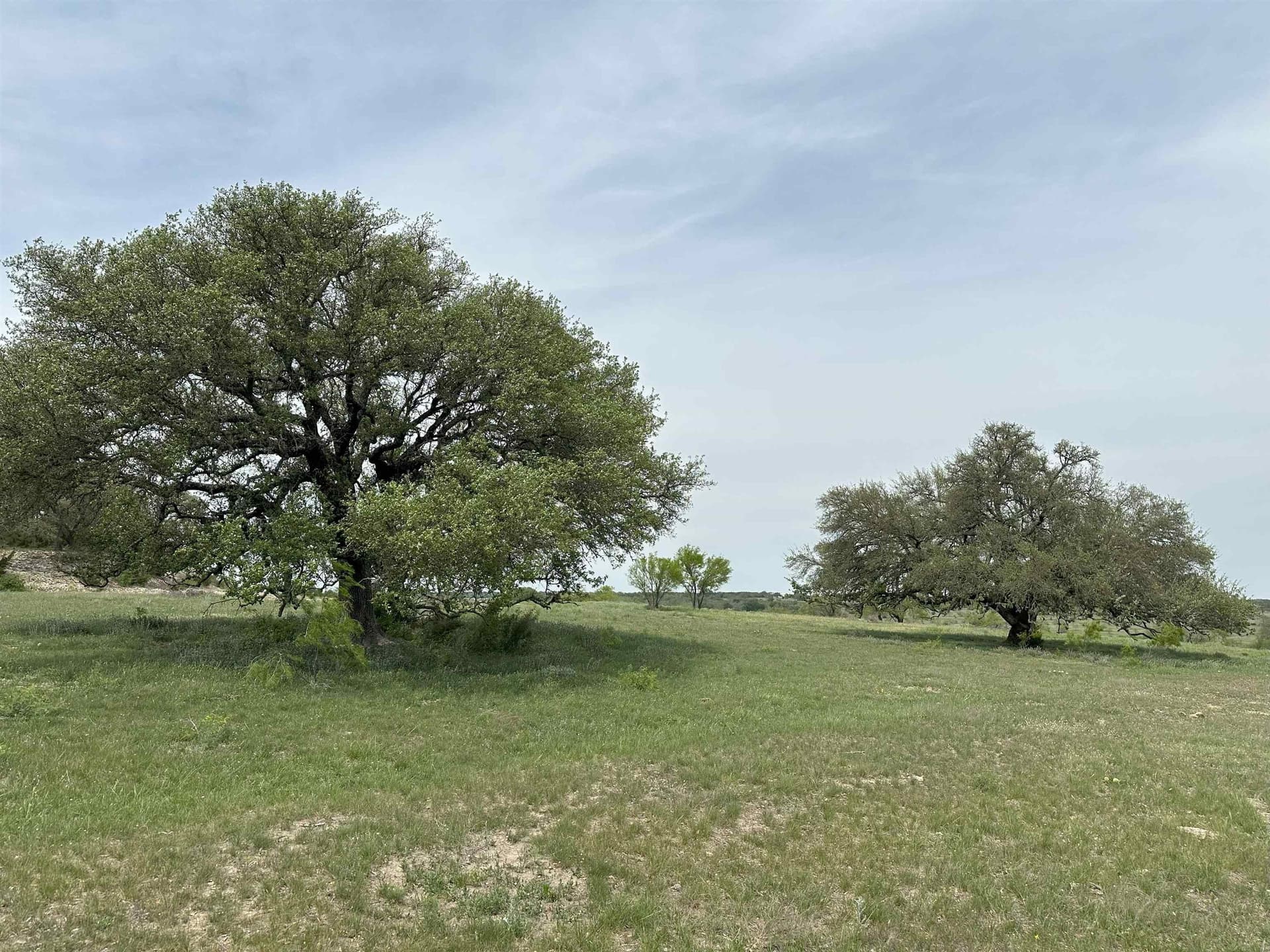 20 acres in Burnet County gallery image 2