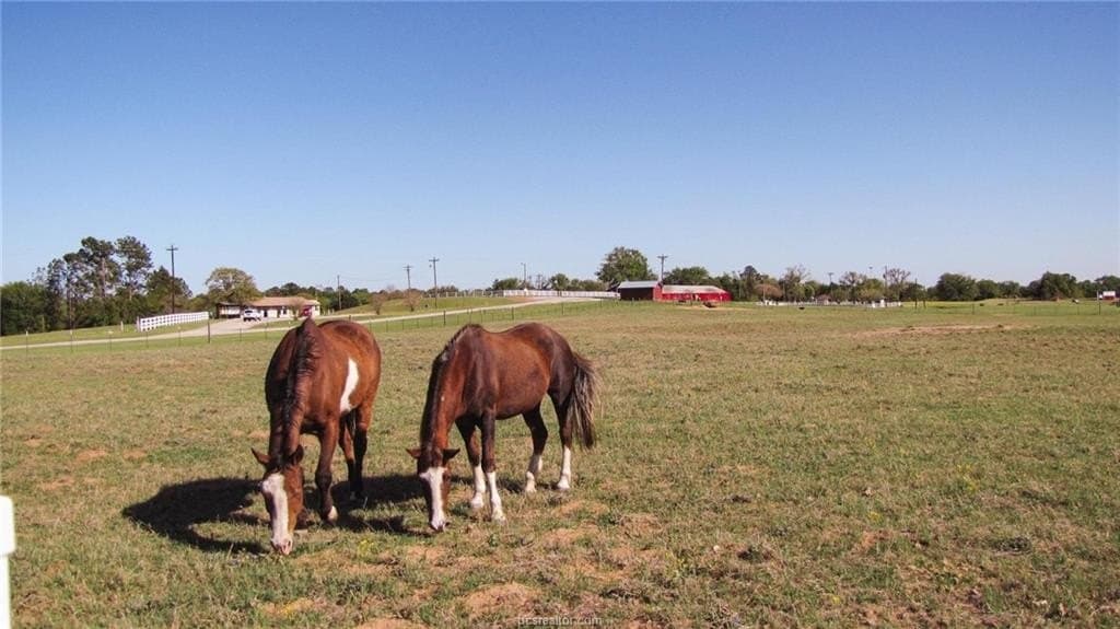 0.41 acres in Leon County - photo 8