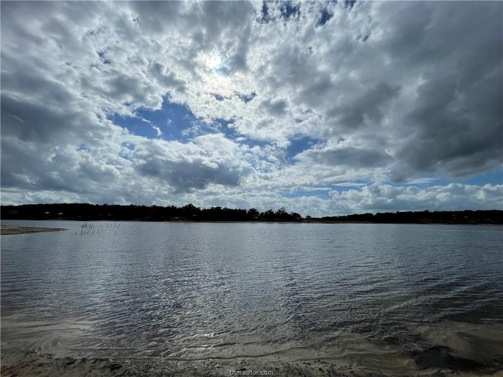 0.41 acres in Leon County - photo 10