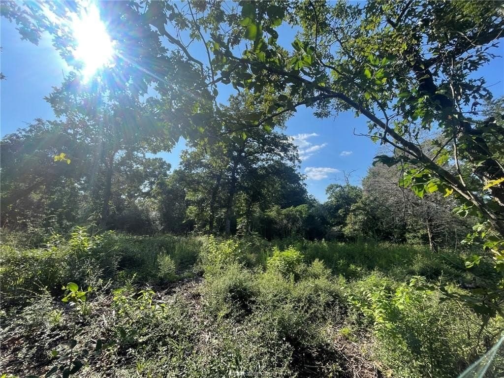 0.41 acres in Leon County