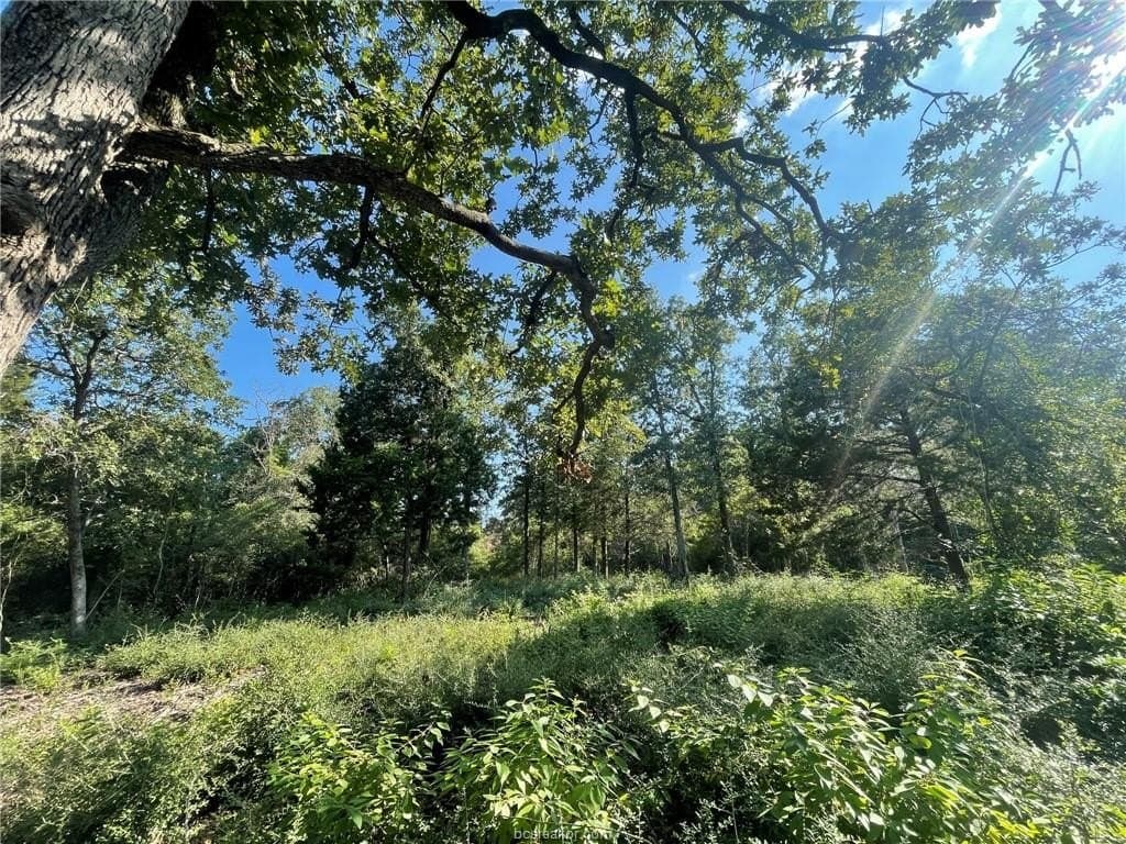 0.41 acres in Leon County gallery image 3