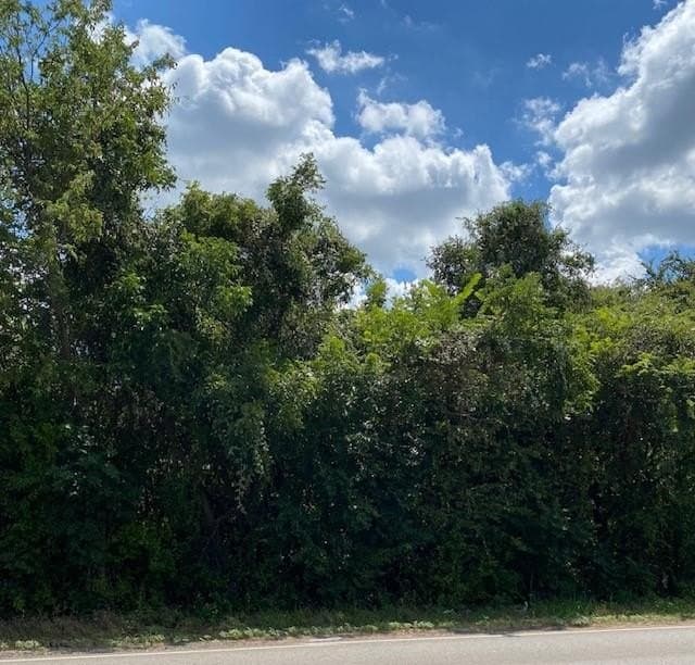 0.58 acres in Parker County gallery image 4