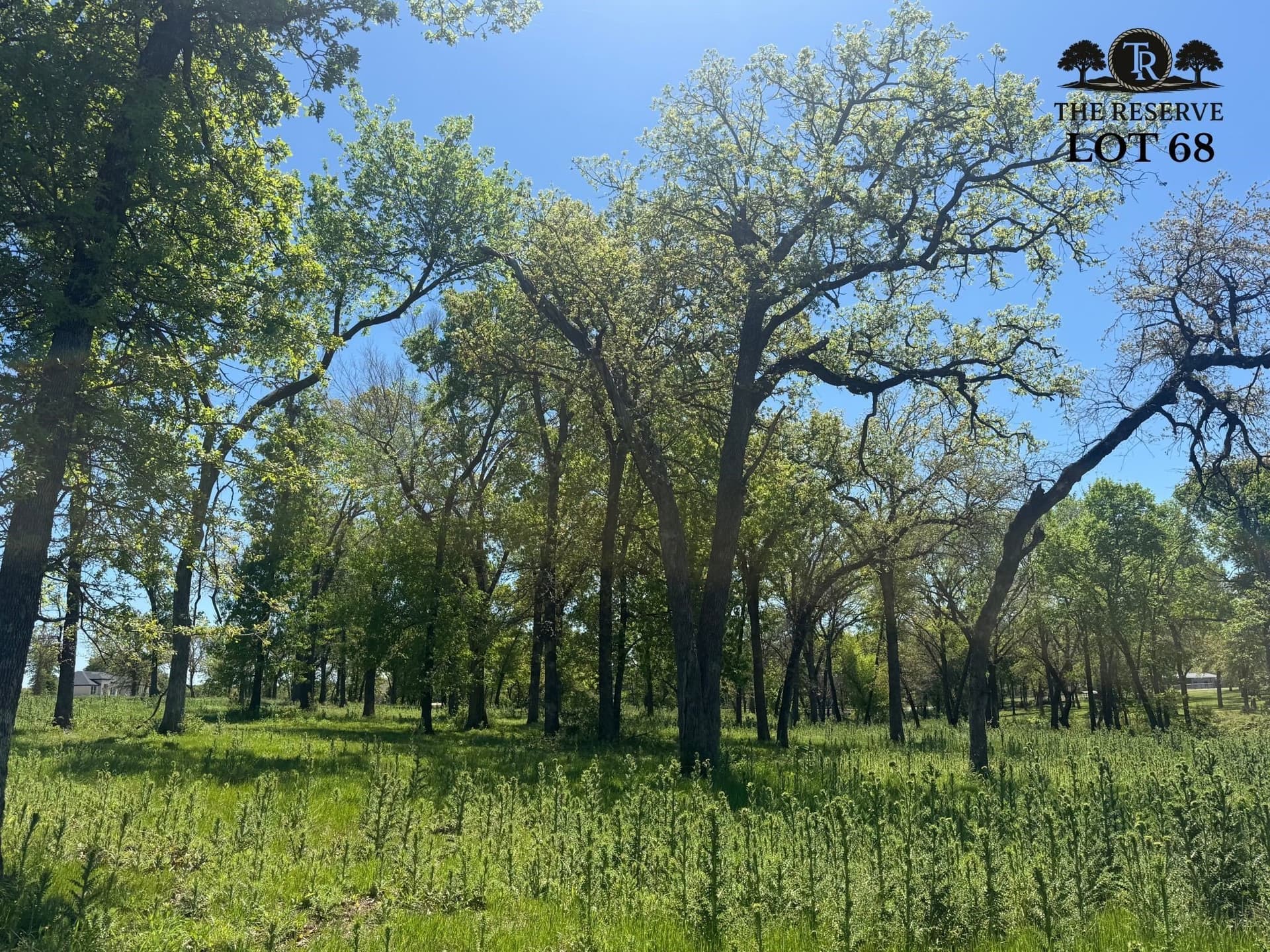 1.8 acres in Parker County - photo 3