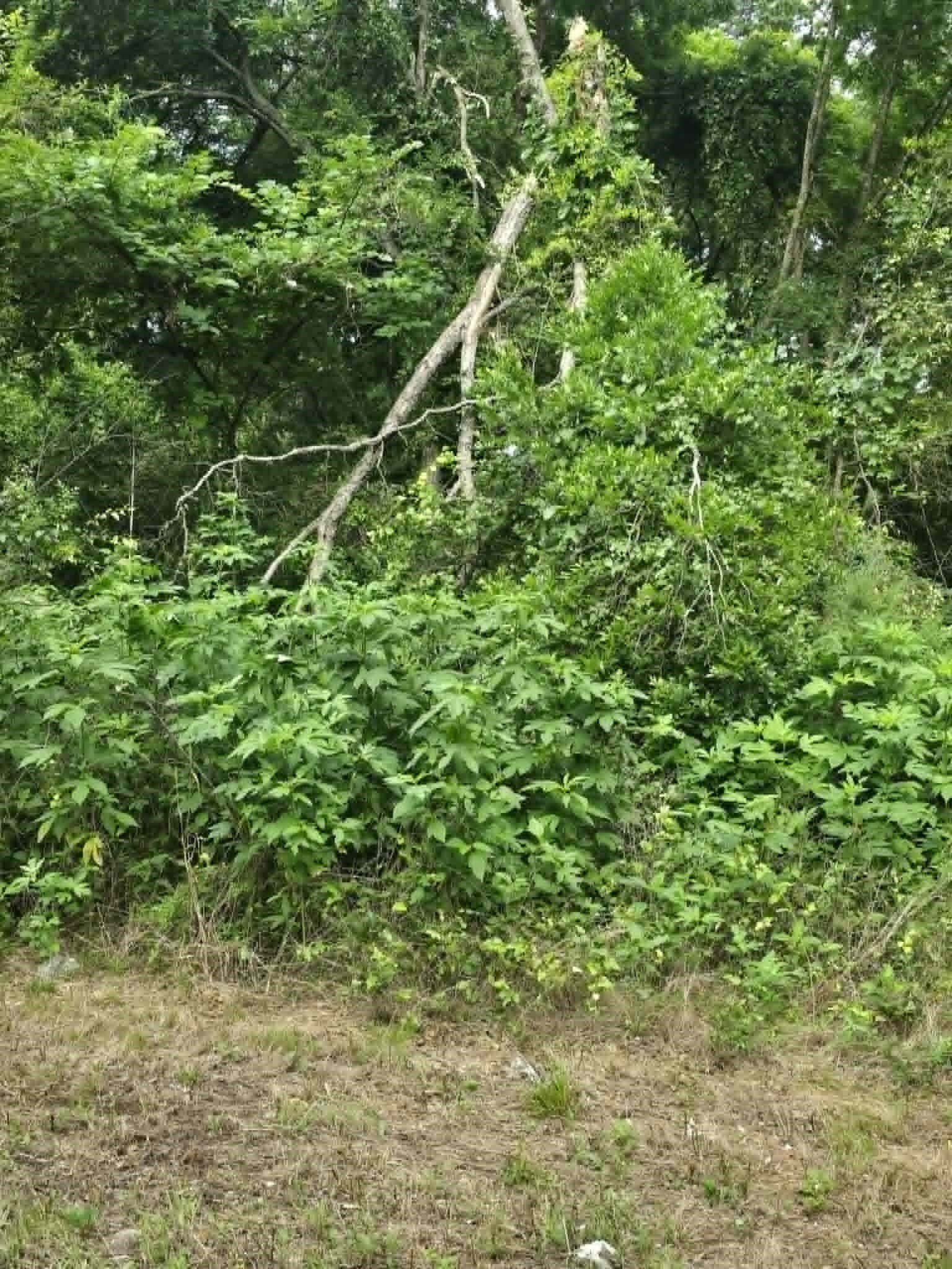 0.23 acres in Morris County - photo 3