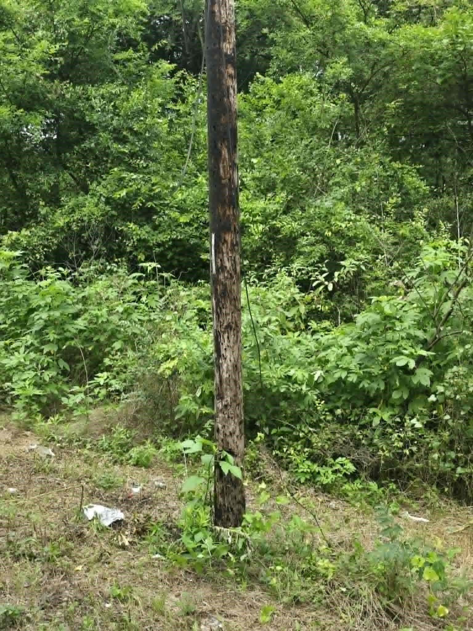 0.23 acres in Morris County - photo 4