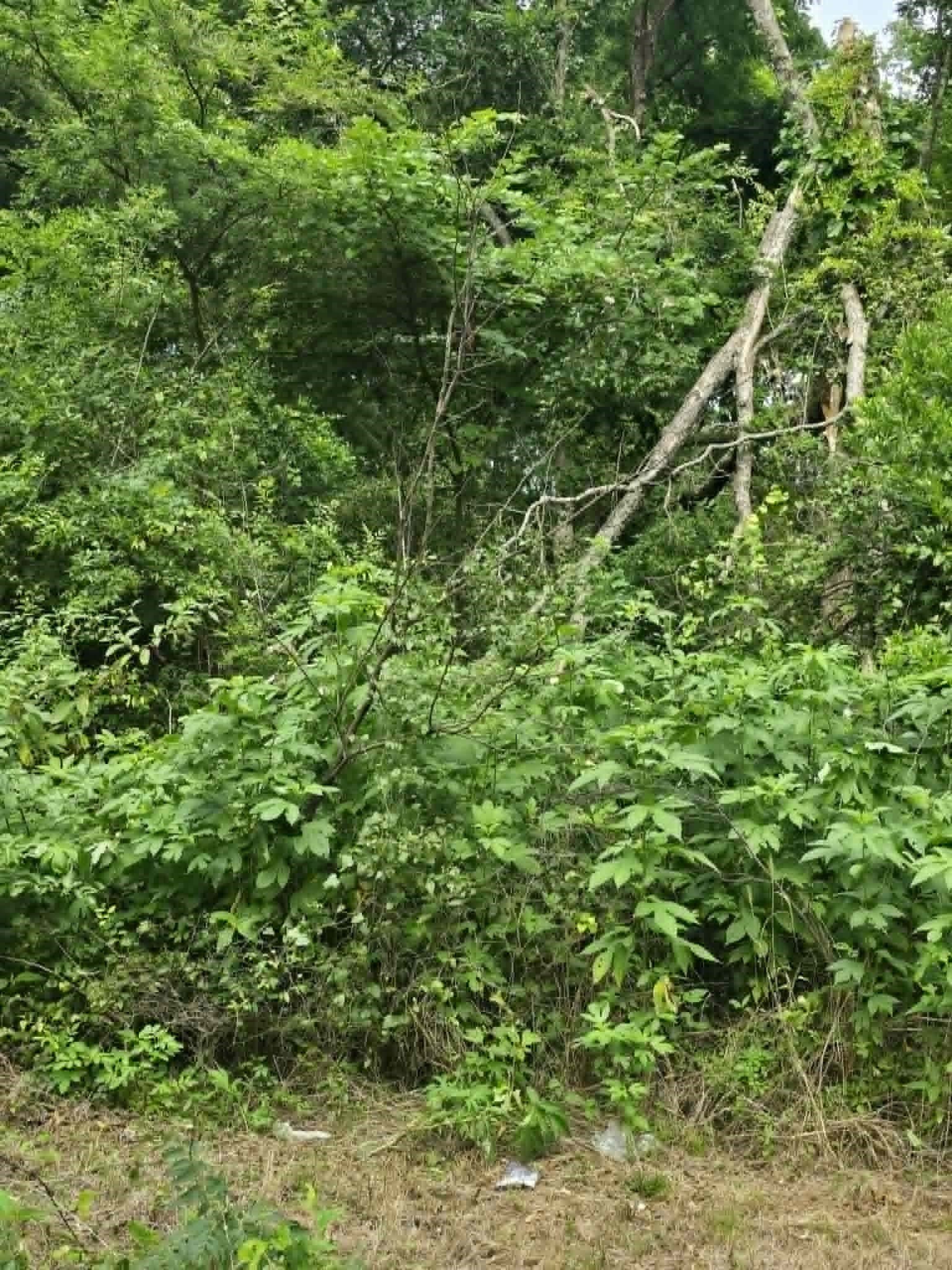 0.23 acres in Morris County - photo 2