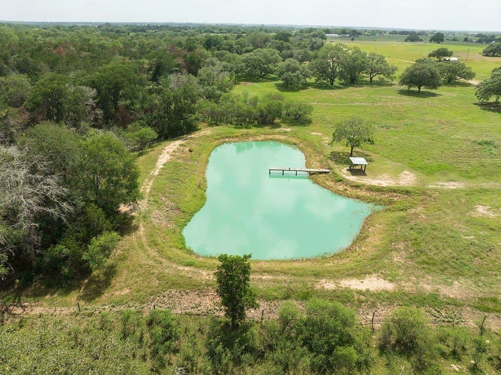 21.36 acres in Lavaca County gallery image 4