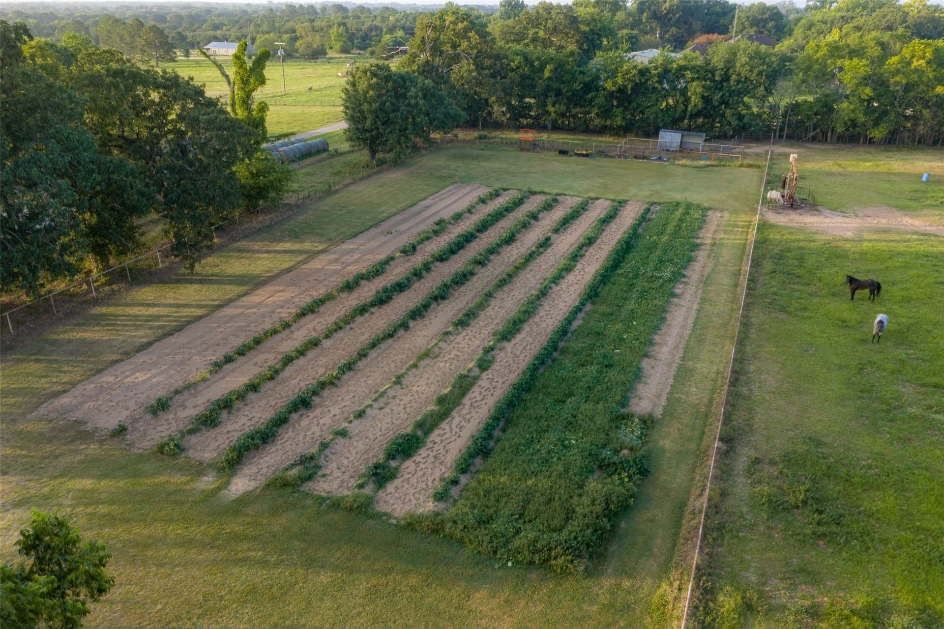 14.27 acres in Van Zandt County - photo 8