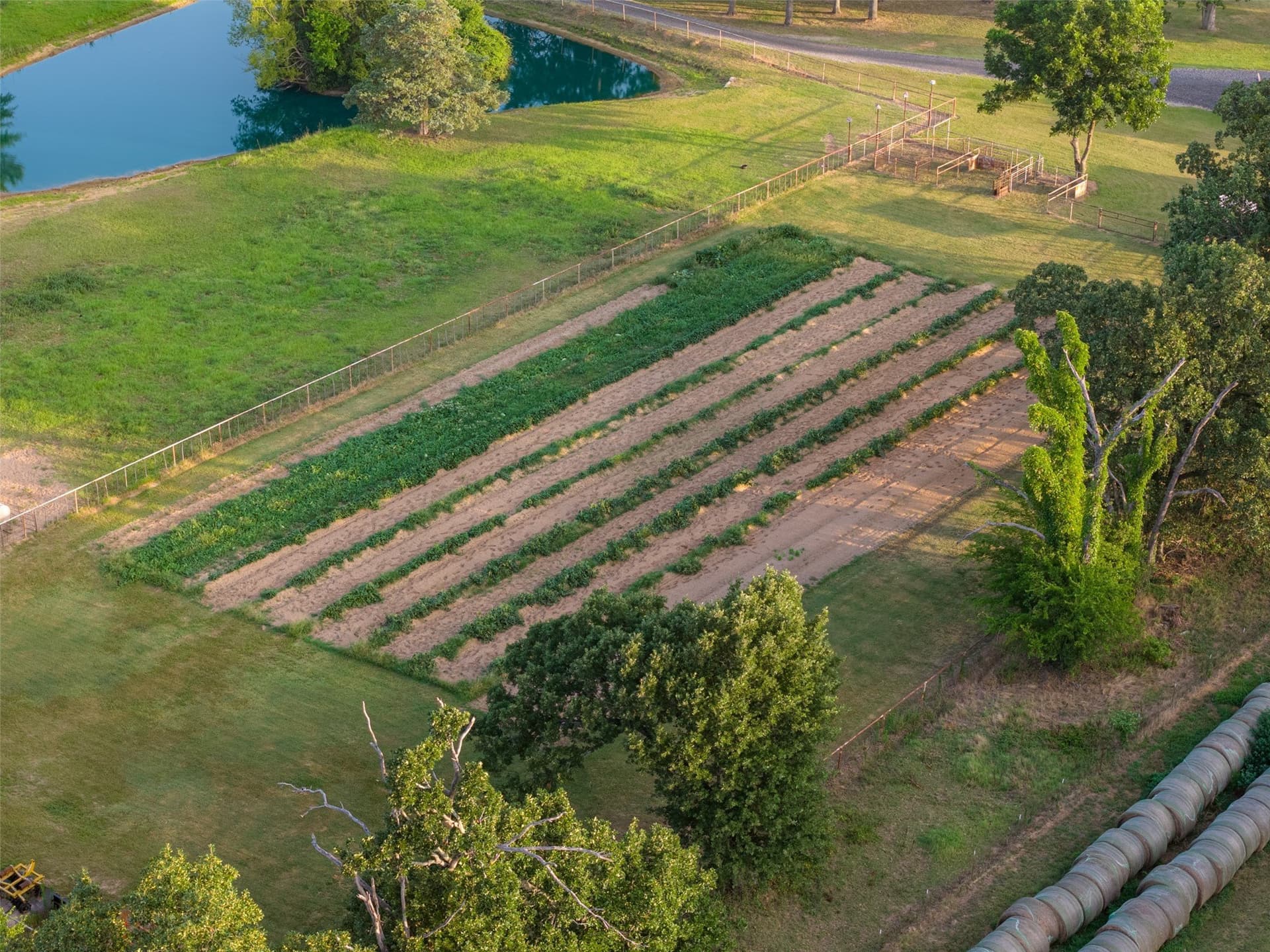 14.27 acres in Van Zandt County - photo 32
