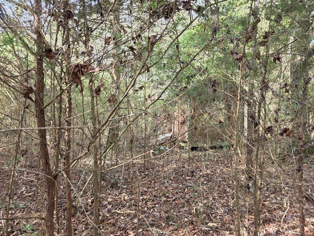 7.3 acres in Texas County - photo 5