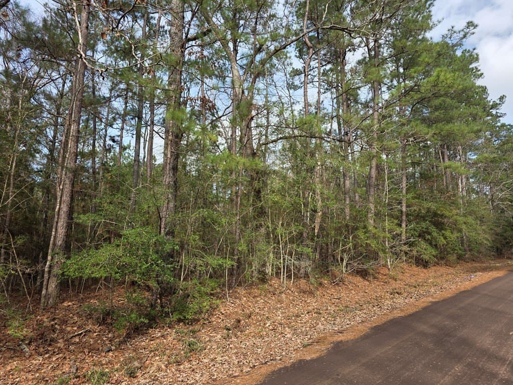 7.3 acres in Texas County - photo 23