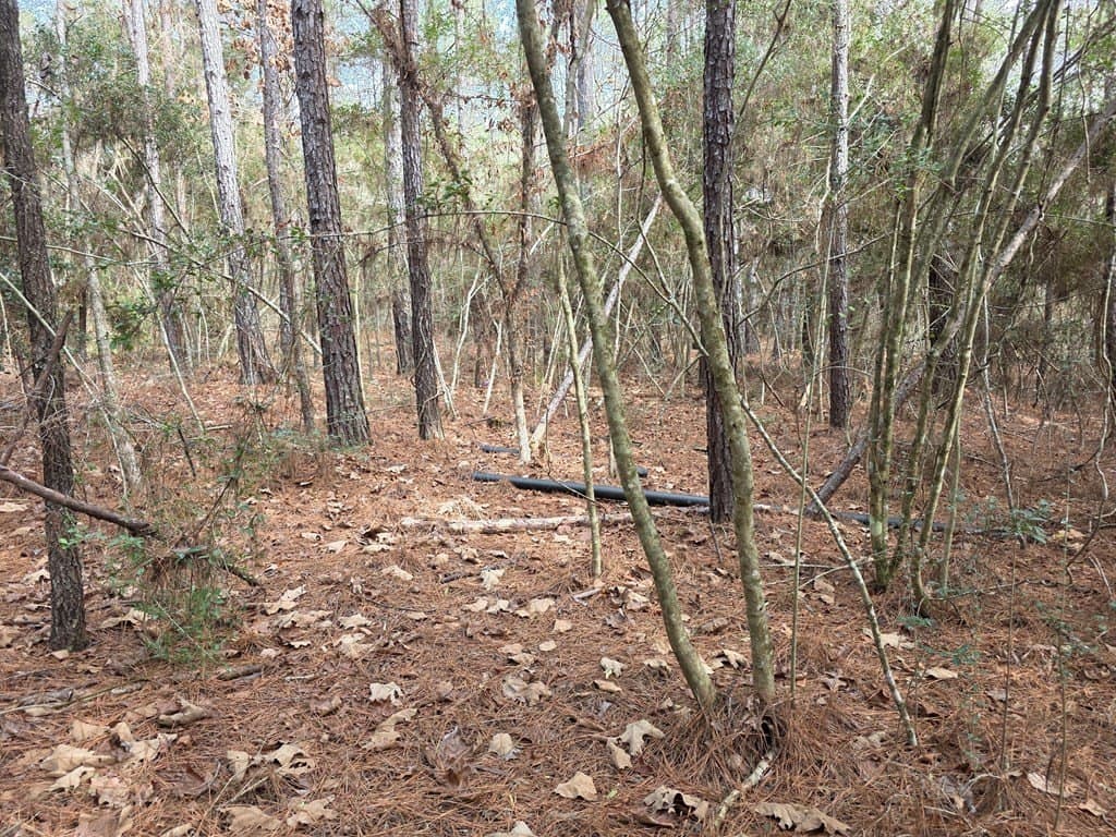 7.3 acres in Texas County - photo 19