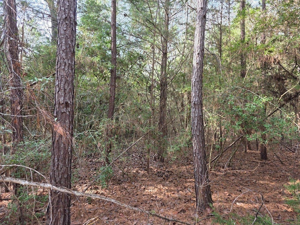 7.3 acres in Texas County - photo 9