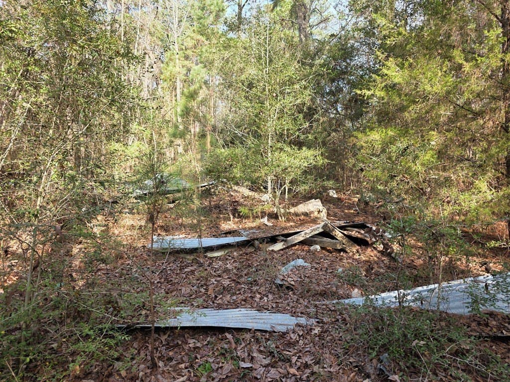7.3 acres in Texas County - photo 6