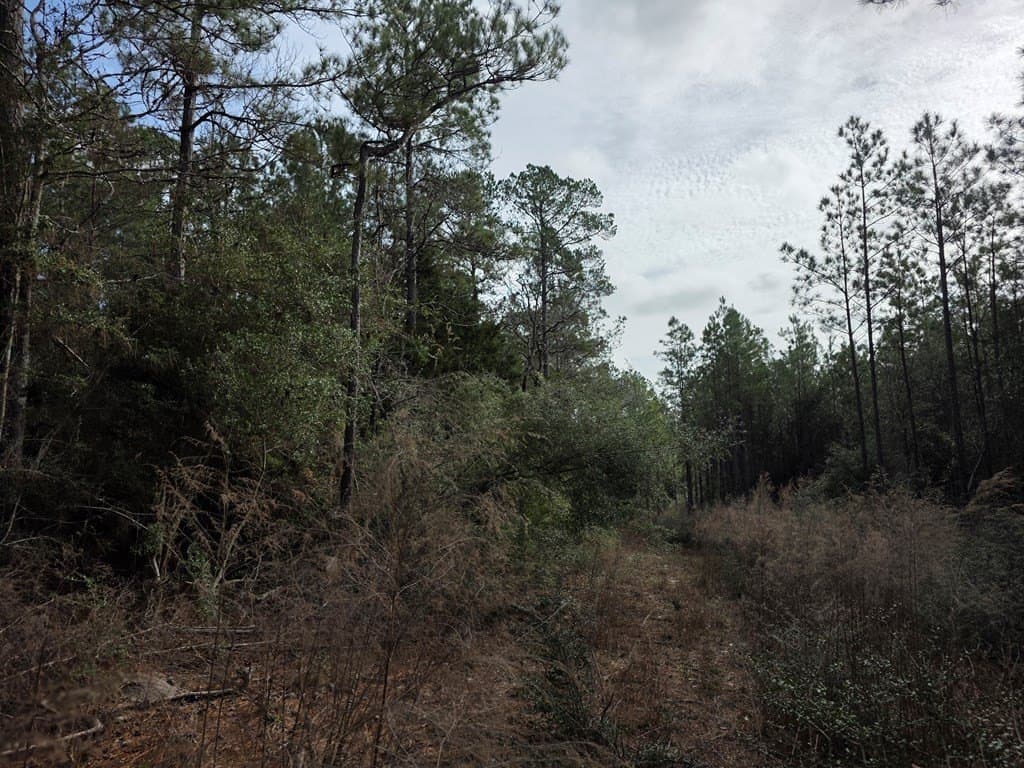 7.3 acres in Texas County - photo 22