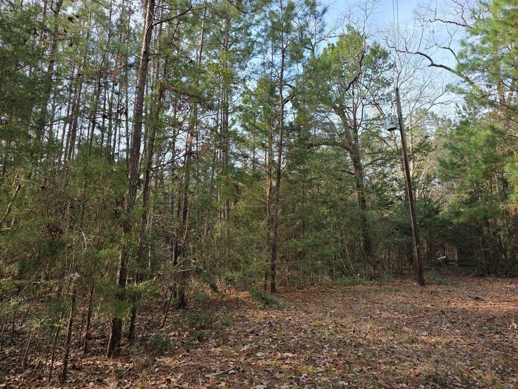 7.3 acres in Texas County - photo 4