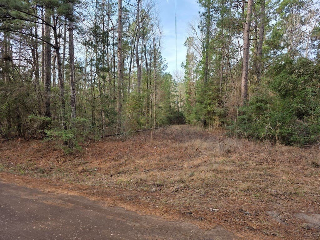 7.3 acres in Texas County - photo 2