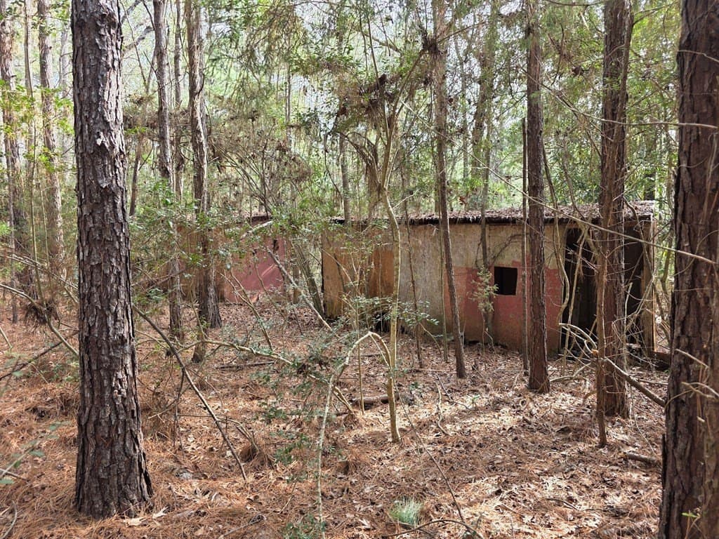 7.3 acres in Texas County - photo 13