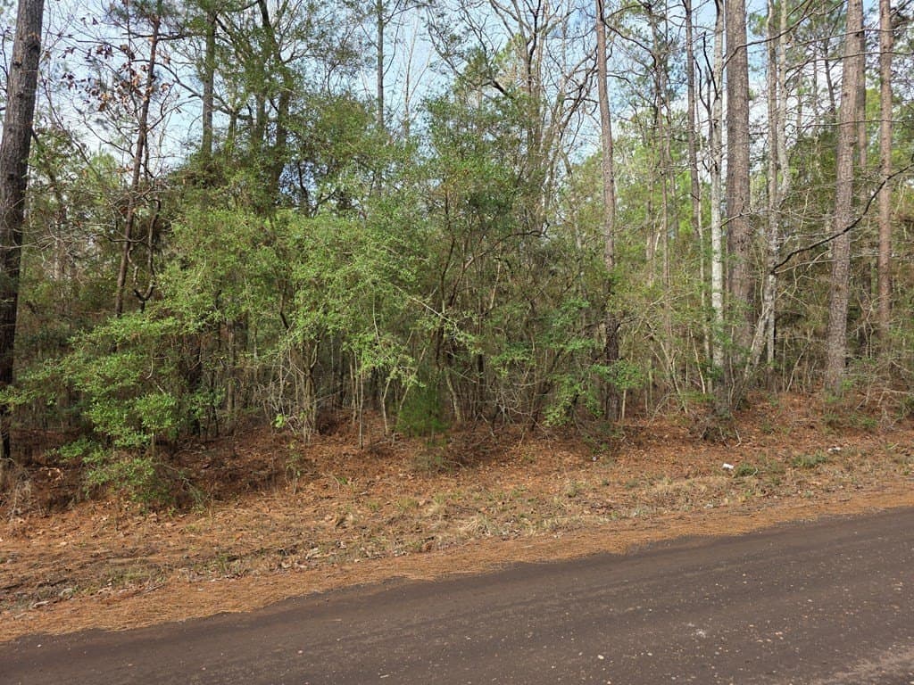 7.3 acres in Texas County - photo 24