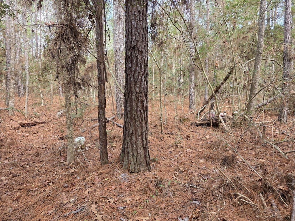 7.3 acres in Texas County - photo 20