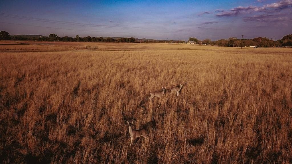 10 acres in Kerr County gallery image 2