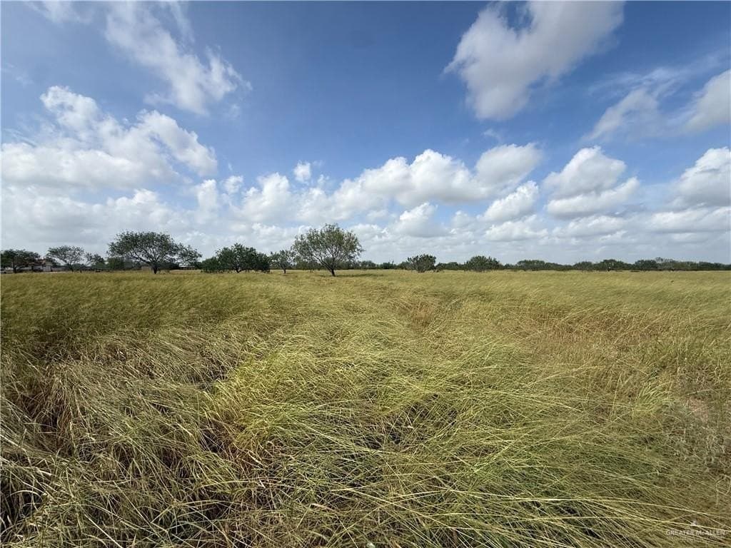 4.58 acres in Hidalgo County gallery image 3