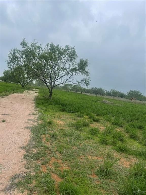 4.58 acres in Hidalgo County gallery image 2