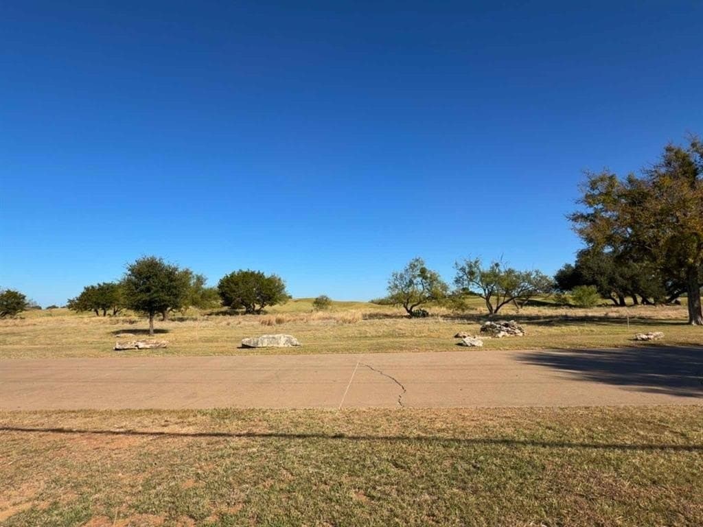0.22 acres in Palo Pinto County gallery image 2