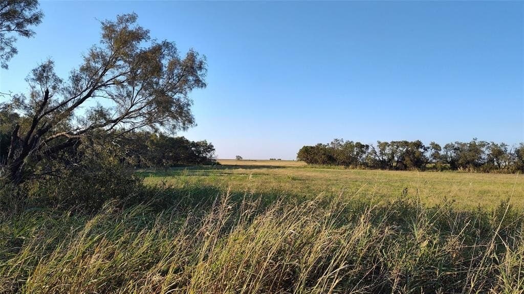 10 acres in Jones County gallery image 2