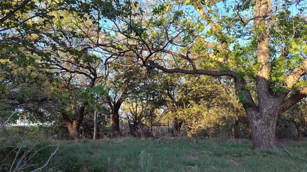10 acres in Jones County featured view