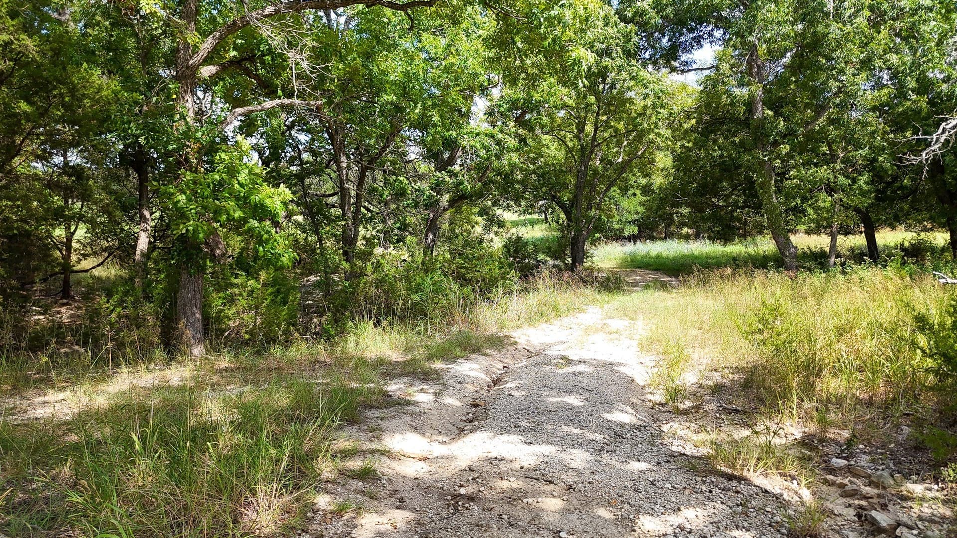 5.39 acres in Bosque County - photo 14