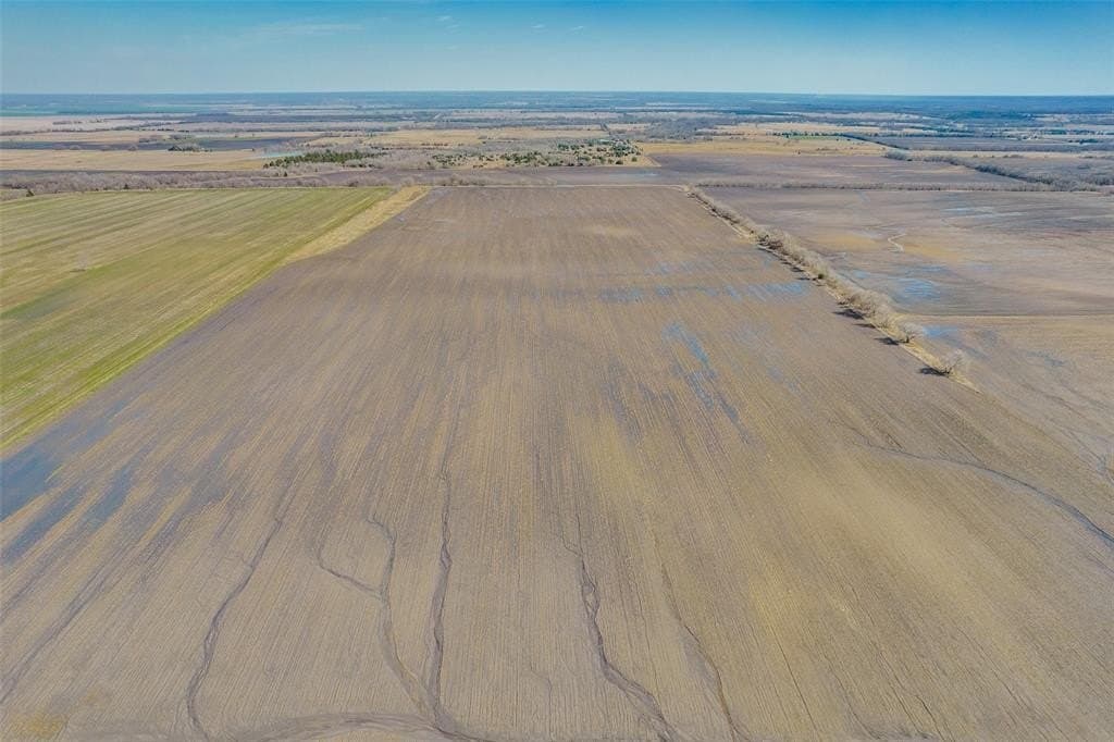 129.52 acres in Fannin County gallery image 4