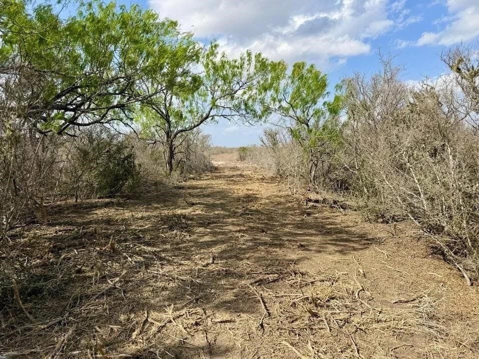 20.34 acres in Duval County featured view