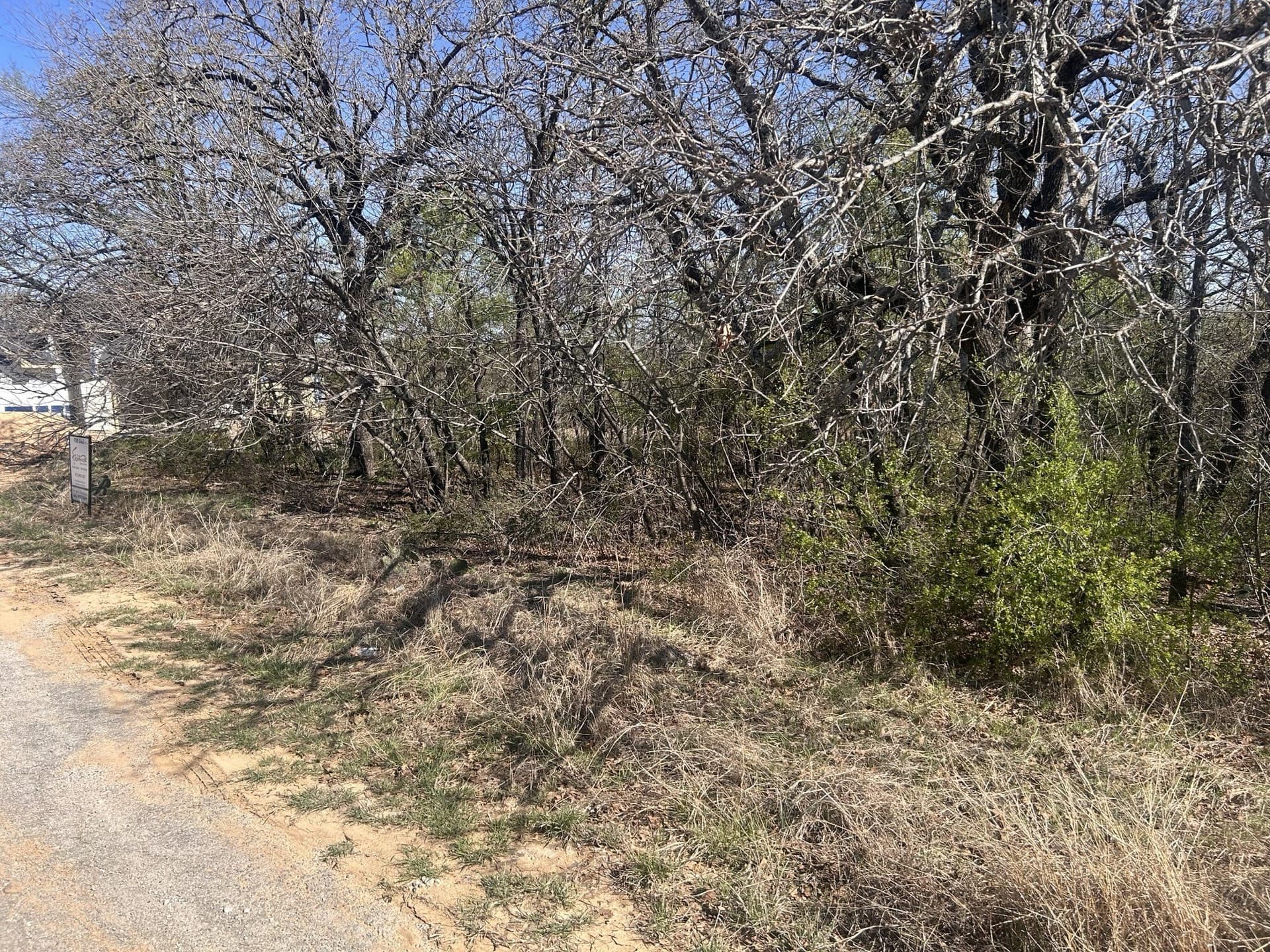 0.2 acres in Wise County gallery image 2