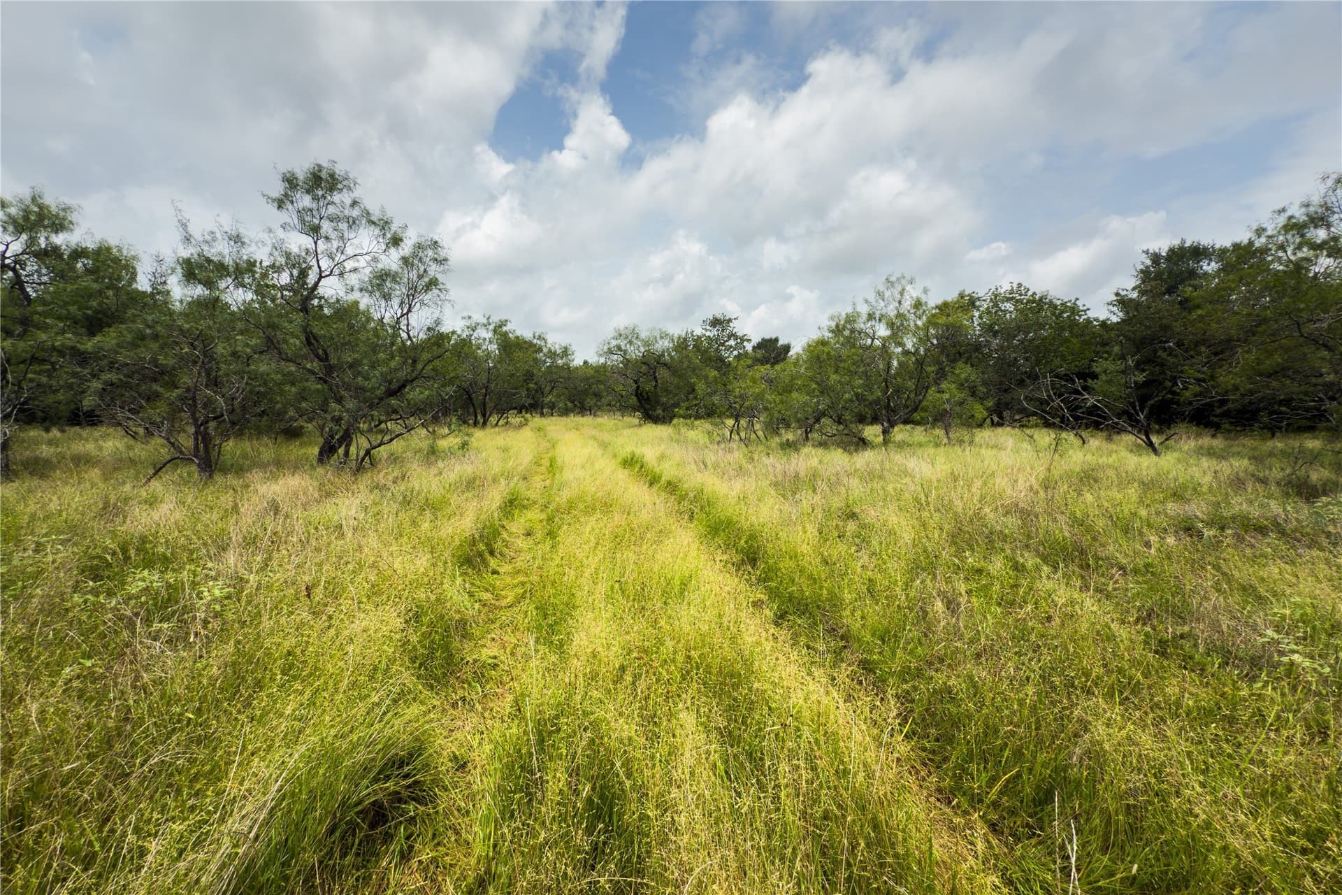3.02 acres in Falls County - photo 4