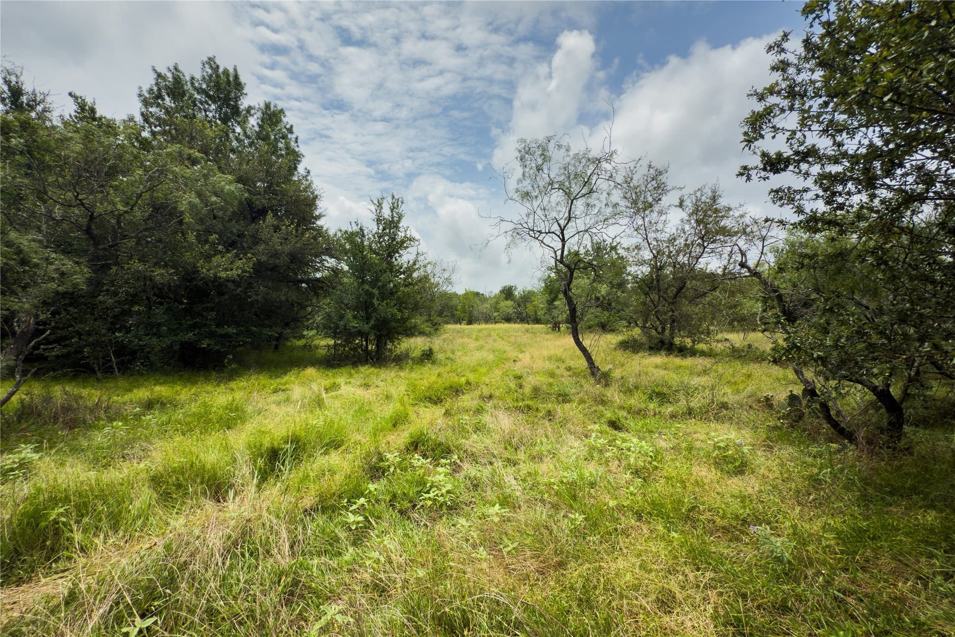 3.02 acres in Falls County - photo 11