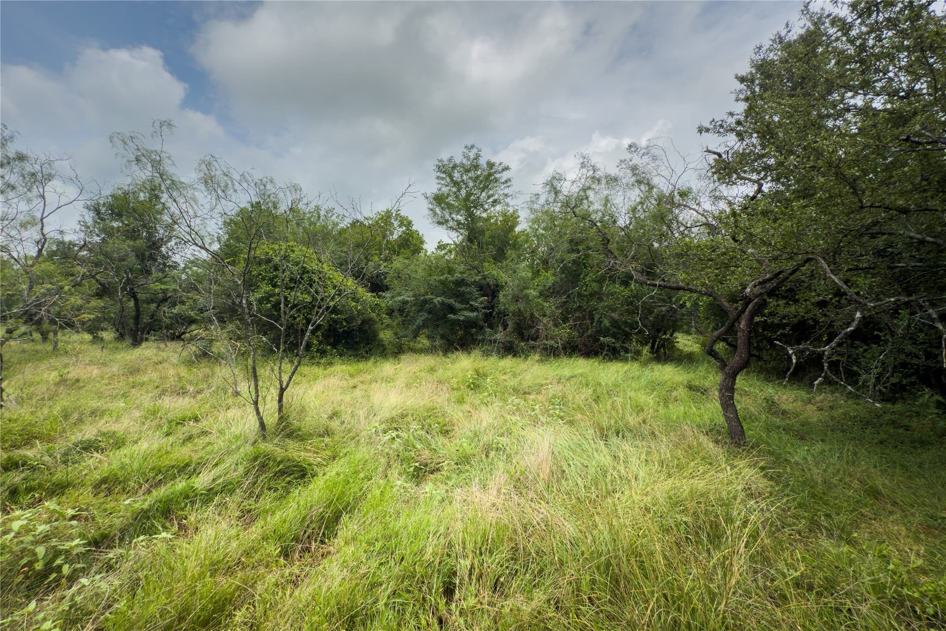3.02 acres in Falls County - photo 16