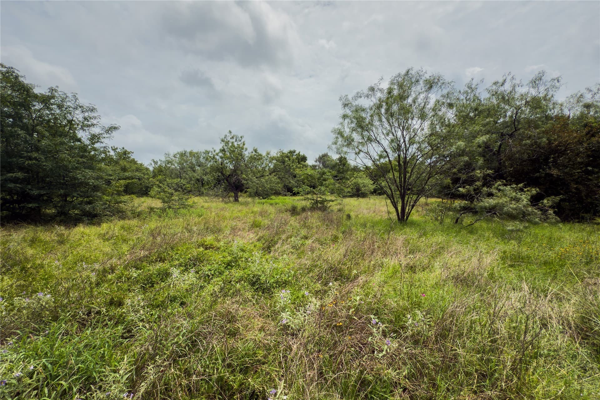 3.02 acres in Falls County - photo 3