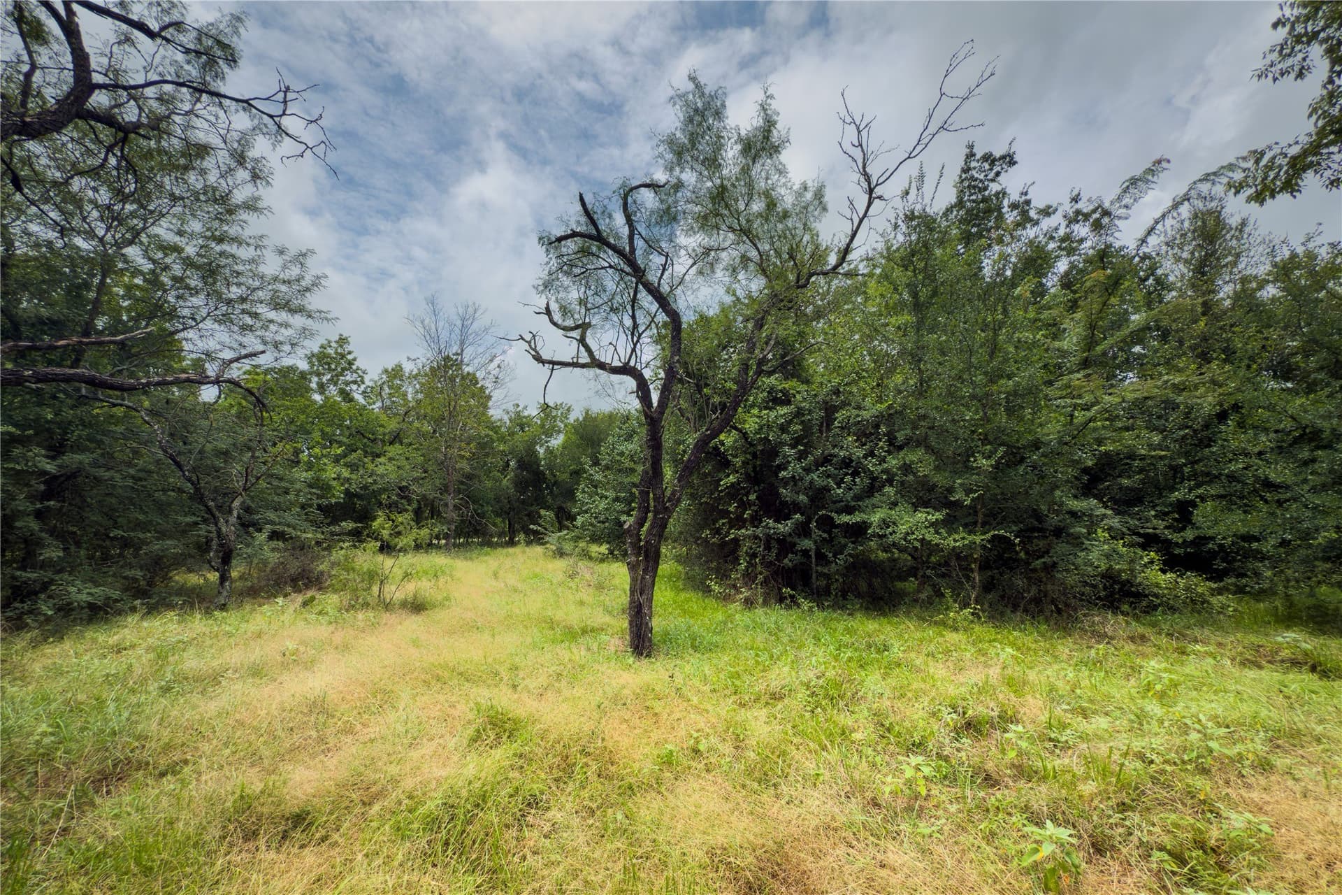 3.02 acres in Falls County - photo 15