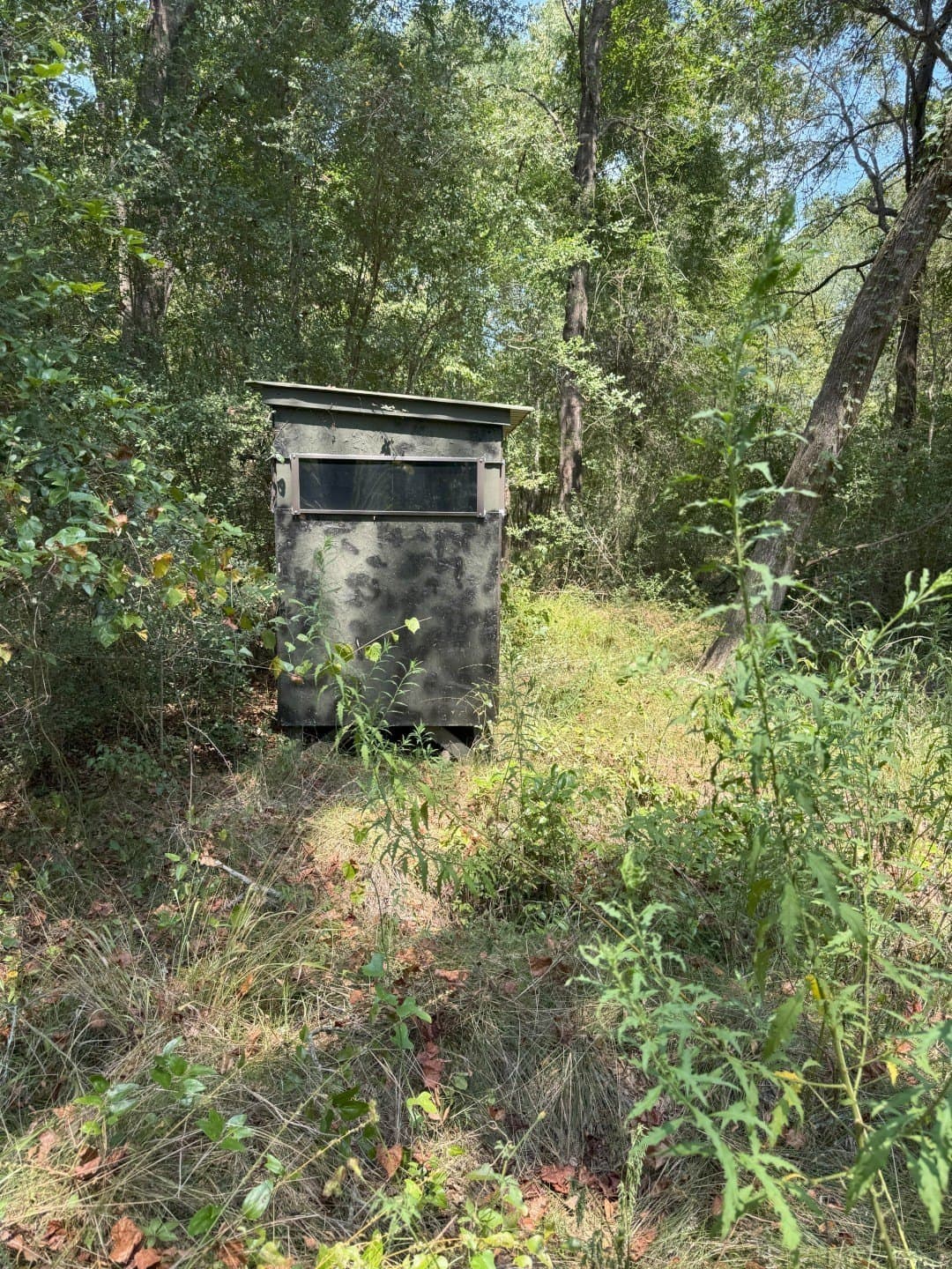 74.33 acres in Panola County - photo 3