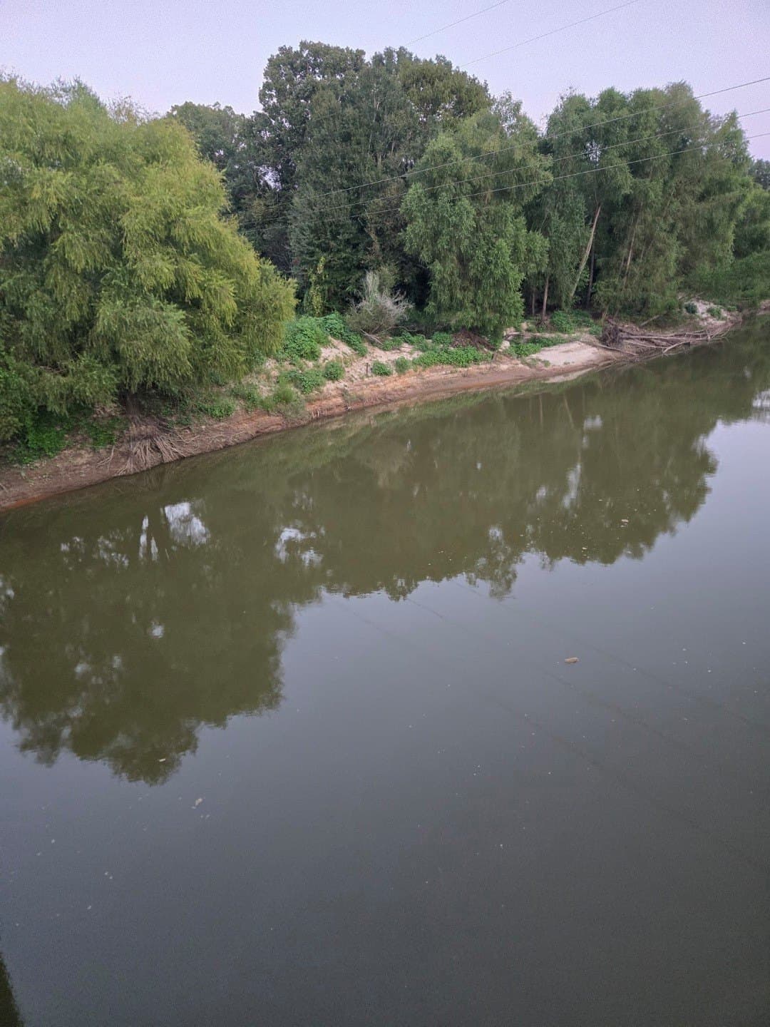 74.33 acres in Panola County - photo 4