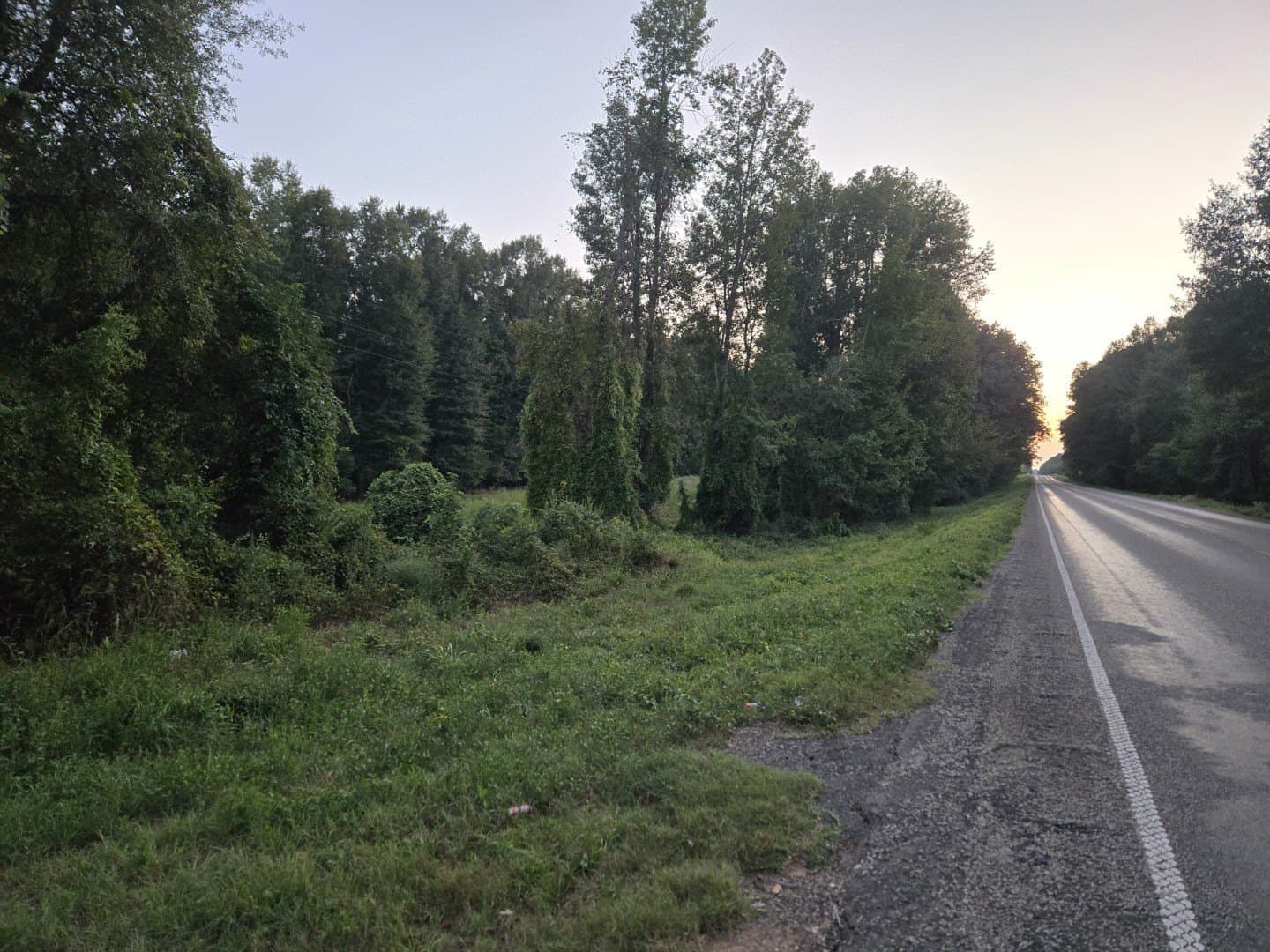74.33 acres in Panola County - photo 5