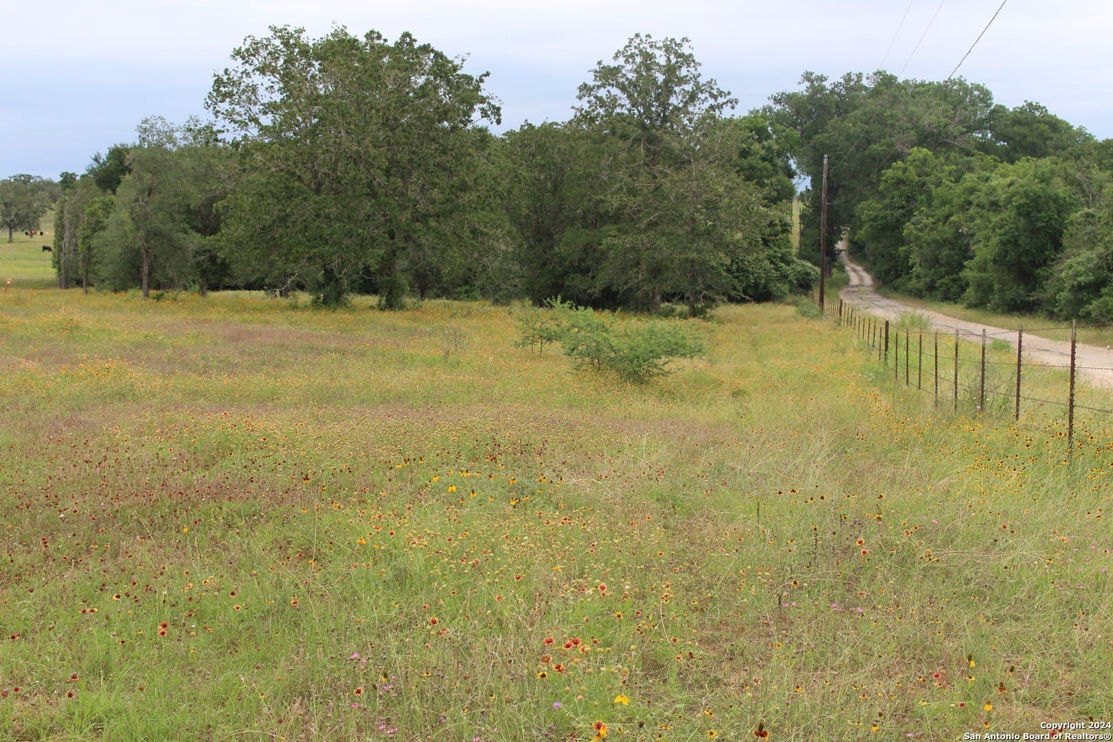 41.38 acres in Guadalupe County gallery image 3