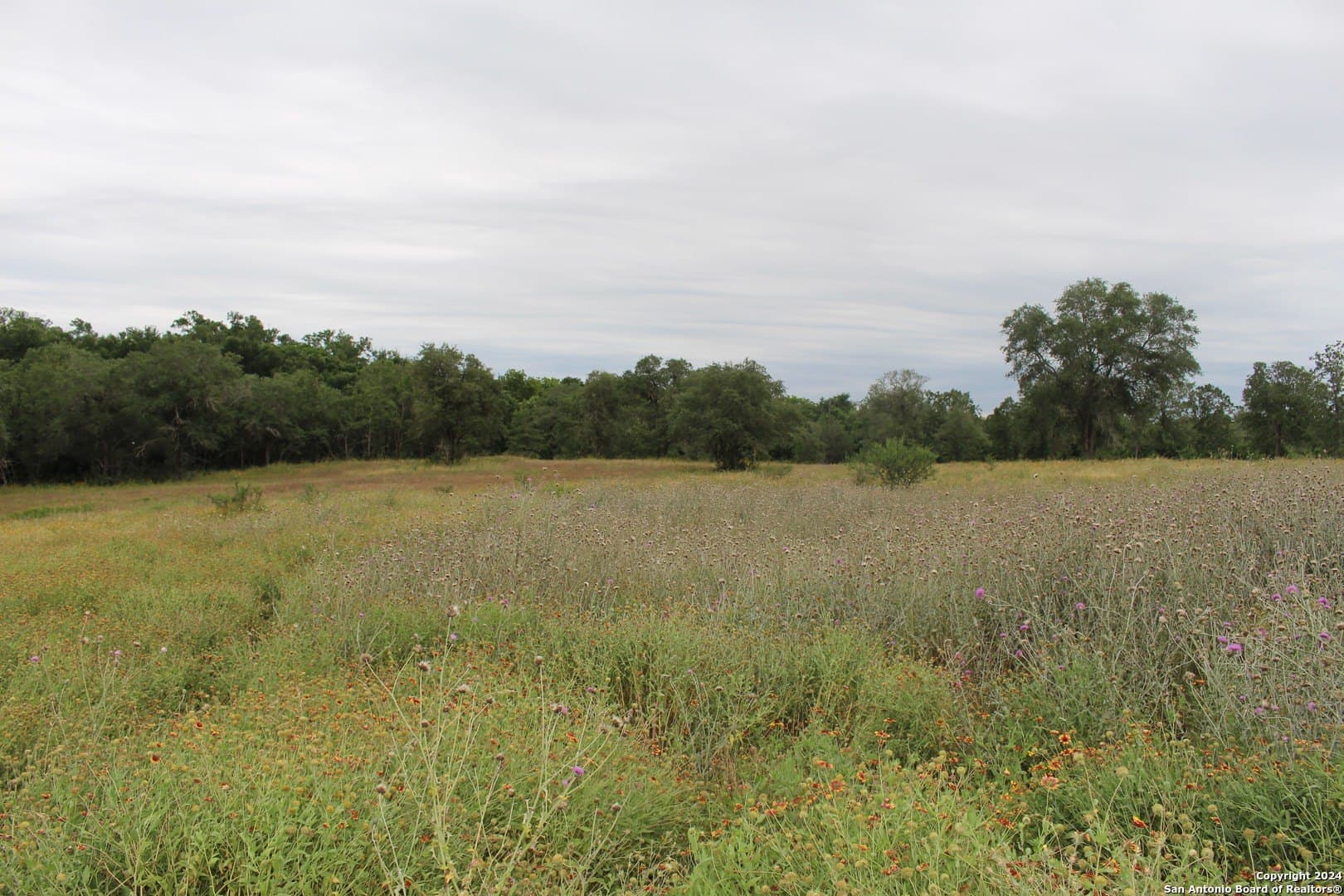 41.38 acres in Guadalupe County featured view